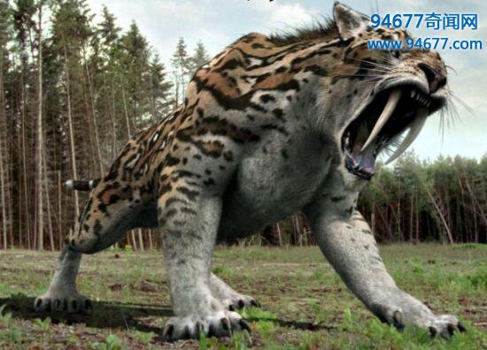 冰河世纪猛兽异剑齿虎，比剑齿虎更凶残的史前巨兽