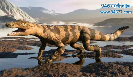 两亿年前的远古巨兽有角鳄，长着牛角的鳄鱼