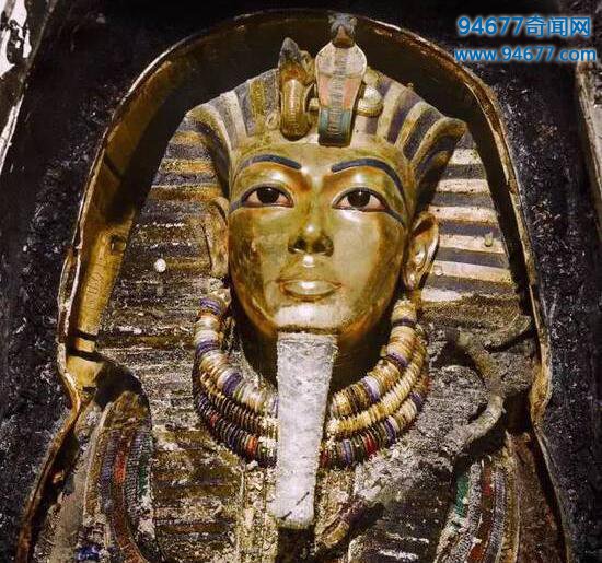 探索神秘的图坦卡蒙陵墓，揭秘诡异的古埃及法老的诅咒之谜
