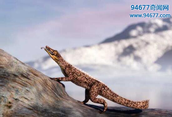 史前最凶猛的鳄鱼，猪鳄身披铠甲提体长6米捕食恐龙