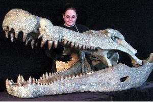 地球史上最大的鳄鱼，帝鳄体长最长13米头颅竟比人还大