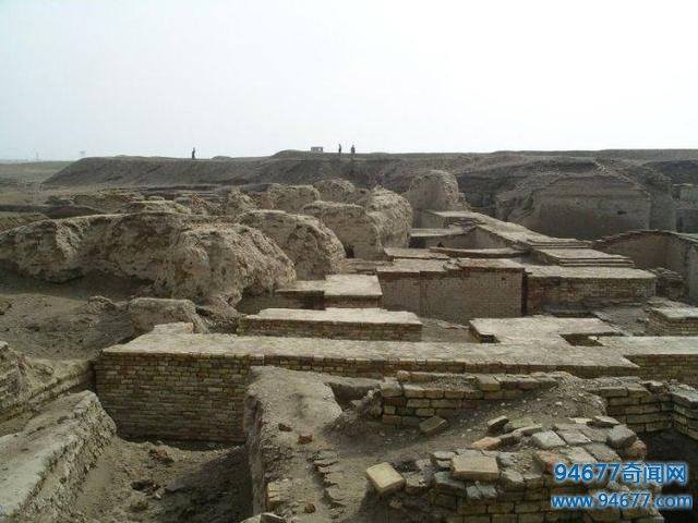 此人在一遗址上发掘出刻有文字的陶器，考古家进入古墓后惊呆