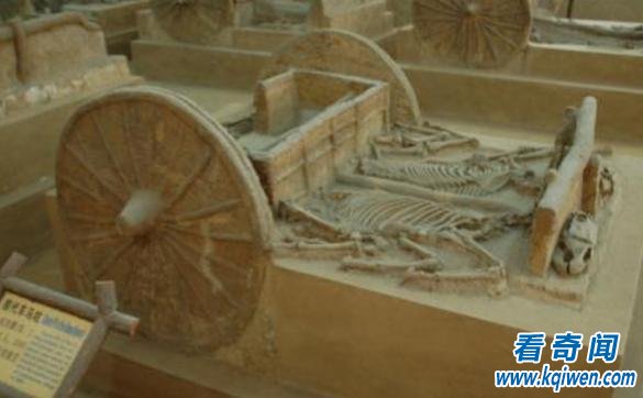 夏朝考古没发现马车，古书却记载了中国第一次车战？到底谁搞错了？