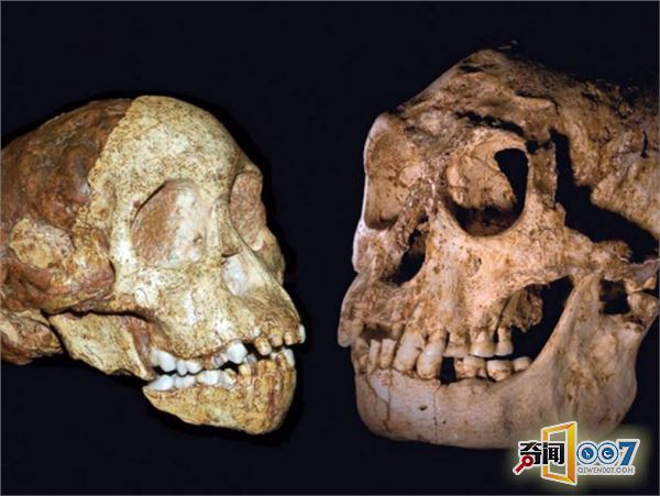 河南发现原始人化石，证实与欧洲原始人有基因交流