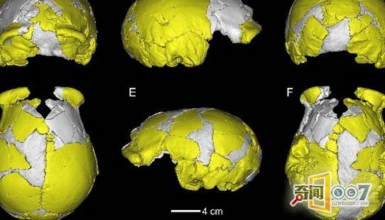 河南发现原始人化石，证实与欧洲原始人有基因交流