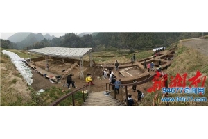 30位文物考古爱好者来到老司城“淘宝”