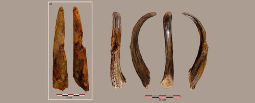 考古突破！这些9万年前的“木制工具”甚至都不是人类制造的