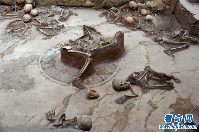 考古学家挖掘遗址，尸体动作诡异，专家的解释让人眼眶湿润