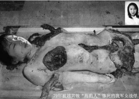 越战海豹人，女战俘四肢被截哭嚎求死(小说杜撰)