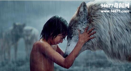 最真实的狼孩图片，关于狼孩的故事大全