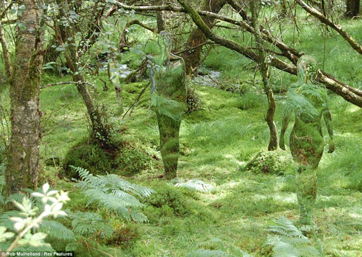 艺术家建造森林镜面人形雕像 颇似“铁血战士”