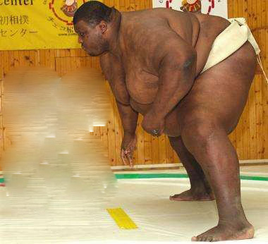 亚伯勒世界上最重的相扑手，娇妻体重仅有50公斤