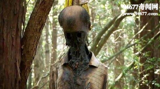 日本自杀森林，漫山遍野的陈尸(每年数百人自杀)