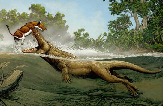 比恐龙更怪异13种史前动物盘点(多图) 