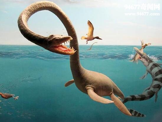 史前海洋霸主蛇颈龙，恐龙灭绝后依旧活在地球深海