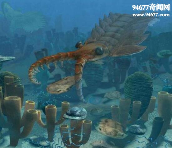 地球史上最早的巨型生物，奇虾(5亿年前的地球主宰)