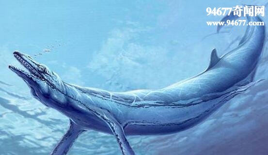世界上最早的鲸鱼，古蜥鲸(祖先生活在树上)