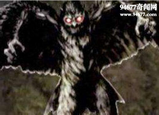 鸮人真实面目曝光，形似猫头鹰的怪异生物(或是骗局)