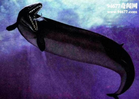 世界上最早的鲸鱼，古蜥鲸(祖先生活在树上)