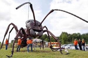 巨型蚂蚁，统治地球1亿年的昆虫