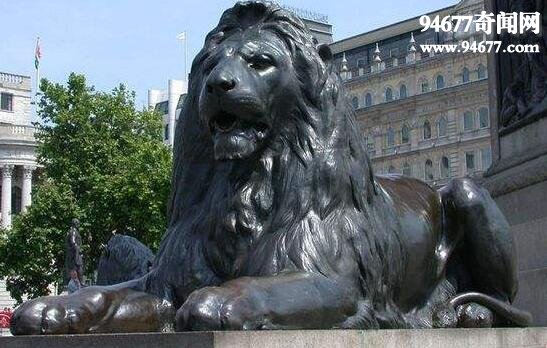 世界最大的狮子，巴巴里狮(全长3.25米/重达600斤)