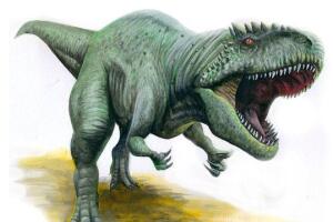 白垩纪南方巨兽龙，与霸王龙并列最强的食肉恐龙