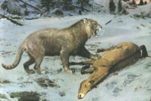 欧洲洞狮，冰河世纪末最后的霸主