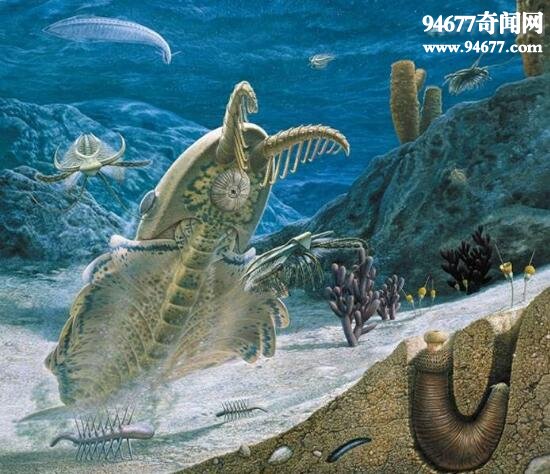 地球史上最早的巨型生物，奇虾(5亿年前的地球主宰)