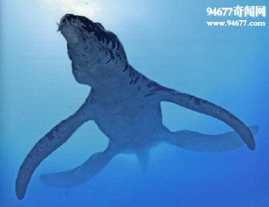 恐龙界的大乌龙，滑齿龙体长25米(实长6米)
