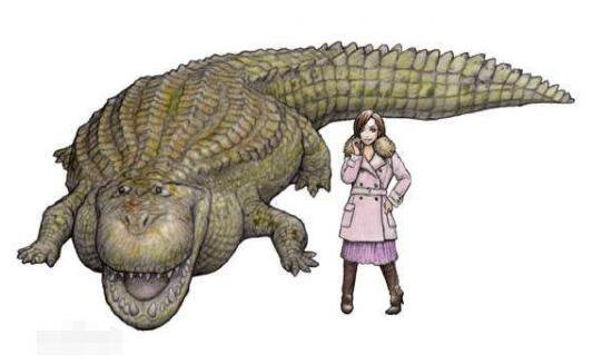 亚马逊莫拉氏鳄，比恐龙凶猛的超级巨鳄