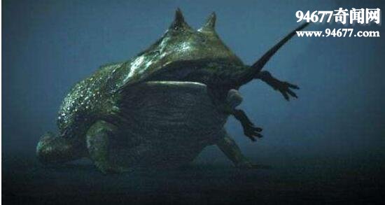 世界上最大的蛙类，喀麦隆巨蛙(体长一米濒临灭绝)