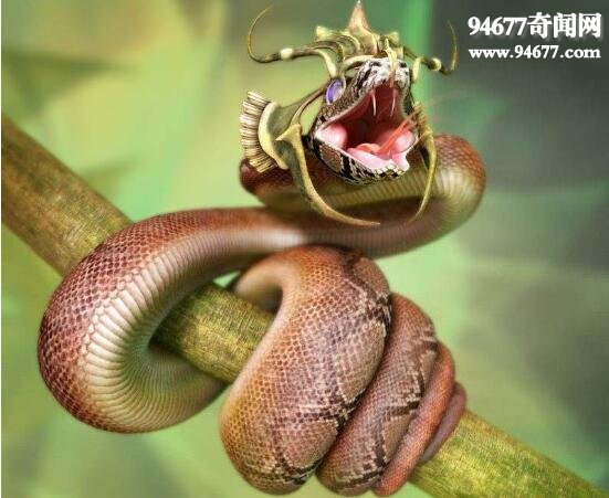 世界上最长寿的蛇，绿茸线蛇能活20万年(虚构)