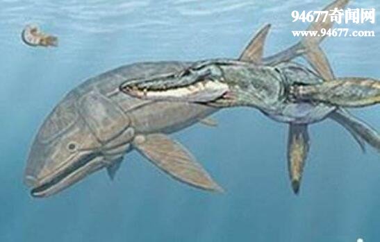 世界上最大的鱼，利兹鱼(长达16.5米/21.5吨已灭绝)
