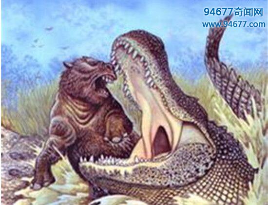 史前“巨鳄”普鲁斯鳄，已被证实是恐龙天敌
