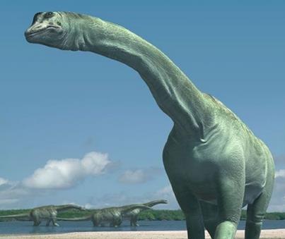 世界上最大的恐龙排行:霸王龙没排上号!