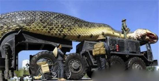 世界上最大的蛇，长达97米破世界记录