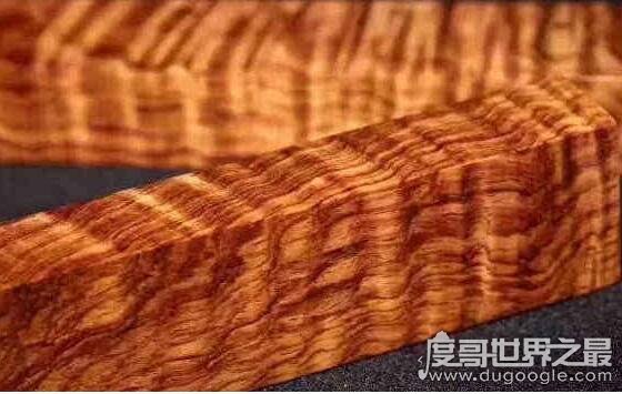 世界上最贵的木材排名，海南黄花梨上万元一斤(国家二级保护植物)