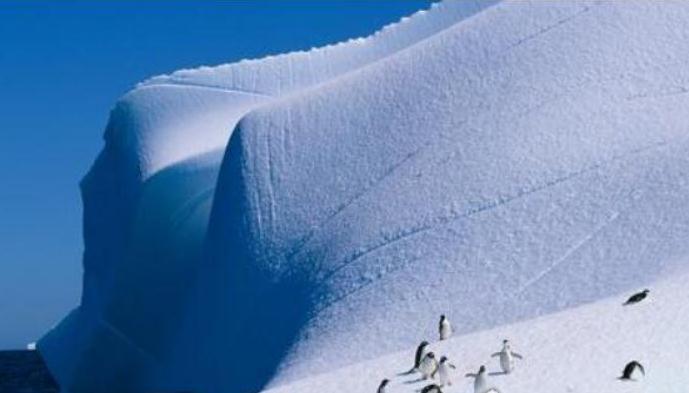 世界上冰雪量最多的大陆，盘点南极洲的五项世界记录