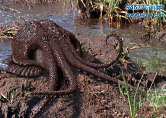 沼泽章鱼，预测将在一亿年后诞生(目前并不存在)