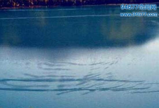 揭开新疆水怪——喀纳斯湖大红鱼的神秘面纱