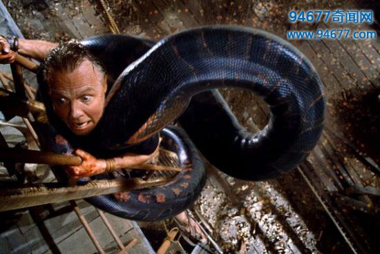 最新的蟒蛇电影大全，十部最恐怖的蟒蛇电影