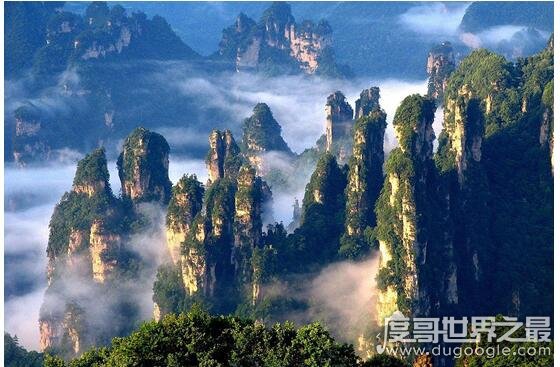 中国最大的森林公园排名，莫尔道嘎森林公园222万亩排第一