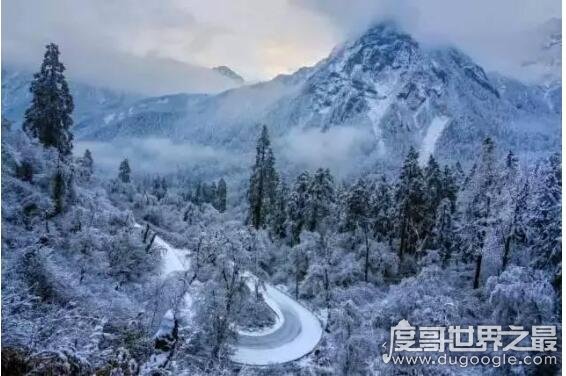 中国最大的森林公园排名，莫尔道嘎森林公园222万亩排第一