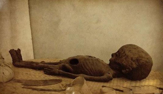 罗斯维尔UFO事件:发现外星人完整尸体