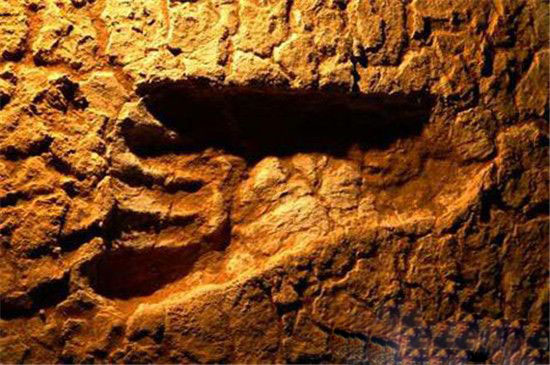 300万年前远古脚印 或是外星人所留？