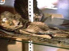 罗斯维尔UFO事件:发现外星人完整尸体