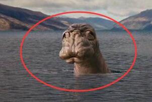 揭秘新疆喀纳斯湖水怪，真相背后疑为巨型哲罗蛙