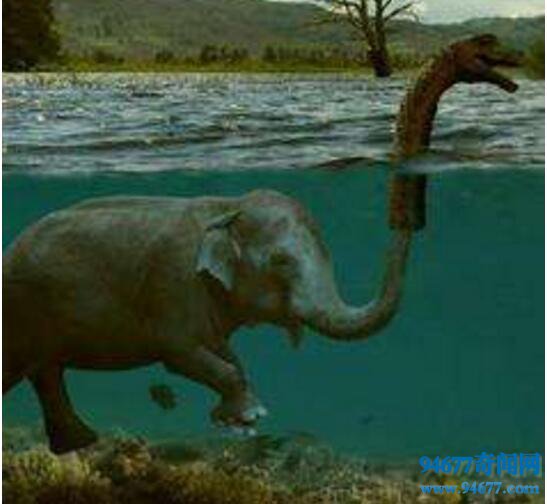 揭秘尼斯湖水怪真相，水怪真实面目竟是大象