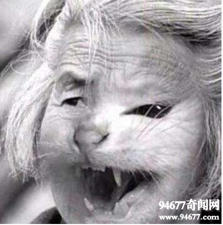 哈尔滨猫脸老太太事件，吃小孩是谣言（图片）