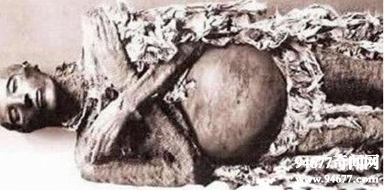 600年古尸产下活婴，特灵娜存活72小时实为虚构